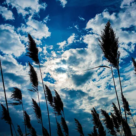 Lejlighed Terasy Mladi Machovo Jezero *