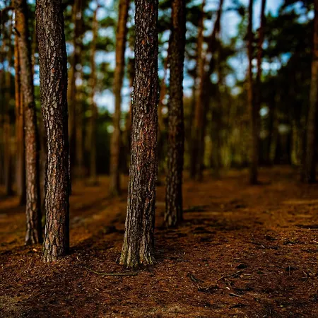 Terasy Mladi Machovo Jezero * Staré Splavy