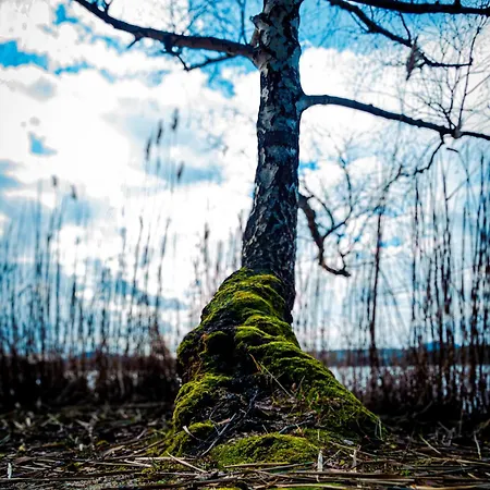 Lejlighed Terasy Mladi Machovo Jezero *