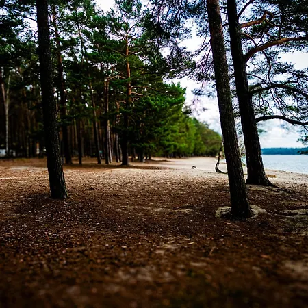 Lägenhet Terasy Mladi Machovo Jezero