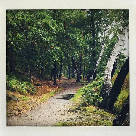 Terasy Mladi Machovo Jezero