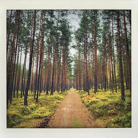 Terasy Mladi Machovo Jezero Lejlighed