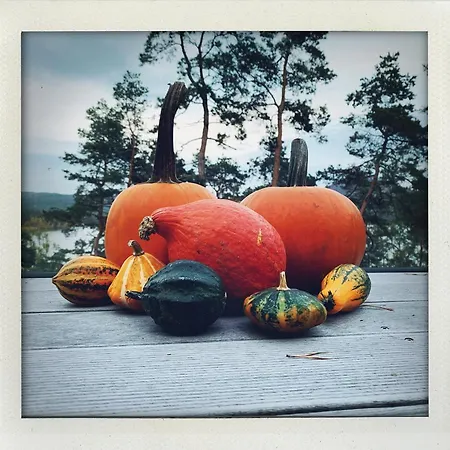 Lejlighed Terasy Mladi Machovo Jezero Staré Splavy