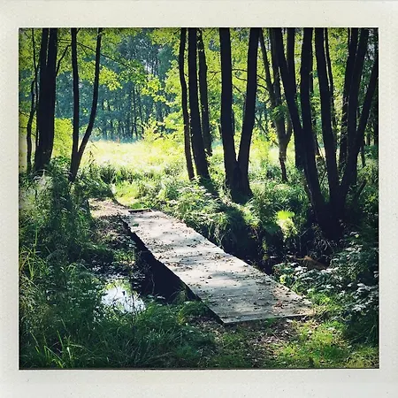 Lejlighed Terasy Mladi Machovo Jezero