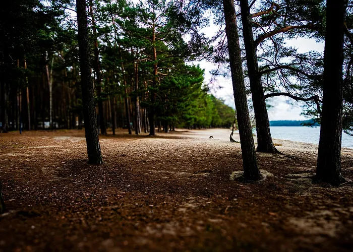 Lägenhet Terasy Mladi Machovo Jezero