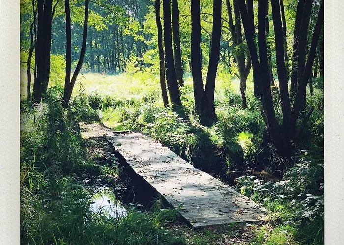 Lägenhet Terasy Mladi Machovo Jezero